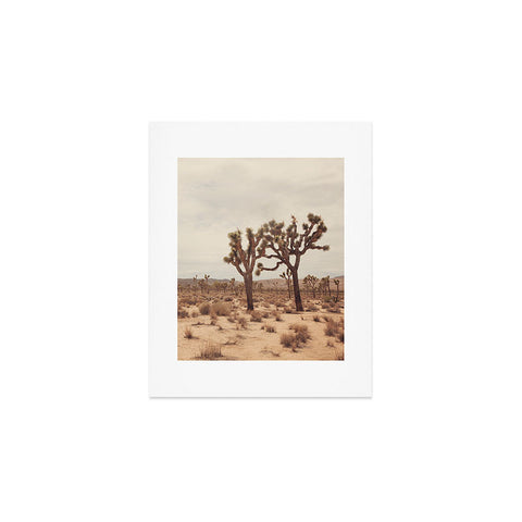 Catherine McDonald California Joshua Trees Art Print