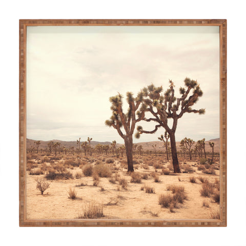 Catherine McDonald California Joshua Trees Square Tray
