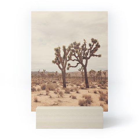 Catherine McDonald California Joshua Trees Mini Art Print