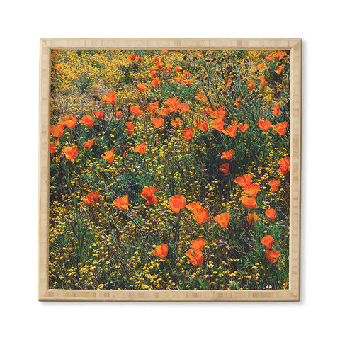 Catherine McDonald California Poppies Framed Wall Art