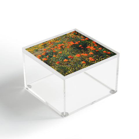 Catherine McDonald California Poppies Acrylic Box