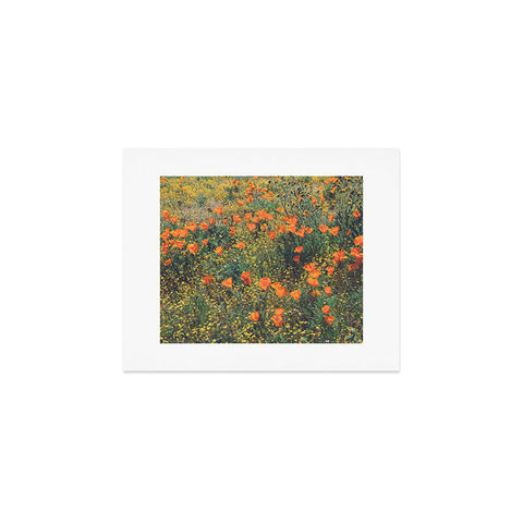 Catherine McDonald California Poppies Art Print