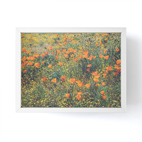 Catherine McDonald California Poppies Framed Mini Art Print