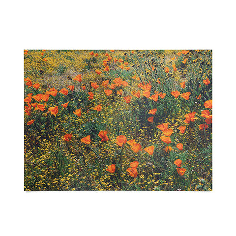 Catherine McDonald California Poppies Poster