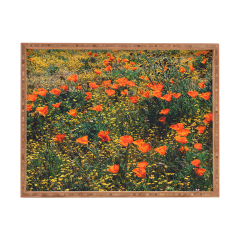 Catherine McDonald California Poppies Rectangular Tray