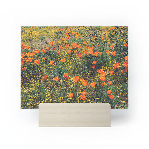 Catherine McDonald California Poppies Mini Art Print