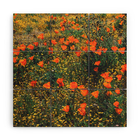 Catherine McDonald California Poppies Wood Wall Mural