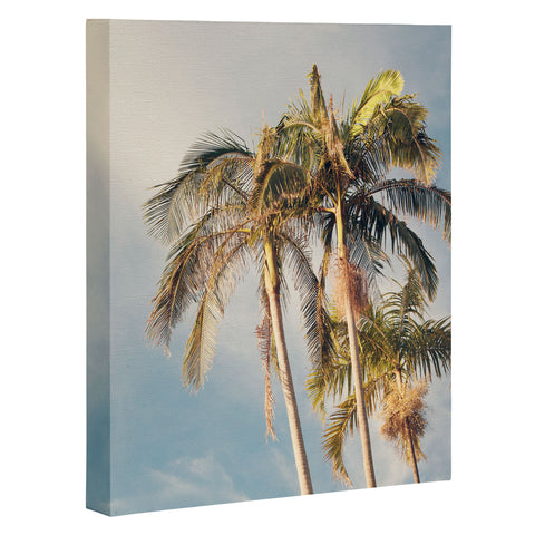 Catherine McDonald Castaway Island Art Canvas