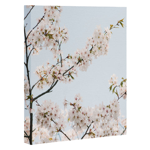 Catherine McDonald Cherry Blossoms In Seoul Art Canvas
