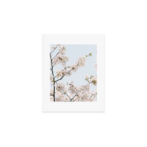 Catherine McDonald Cherry Blossoms In Seoul Art Print