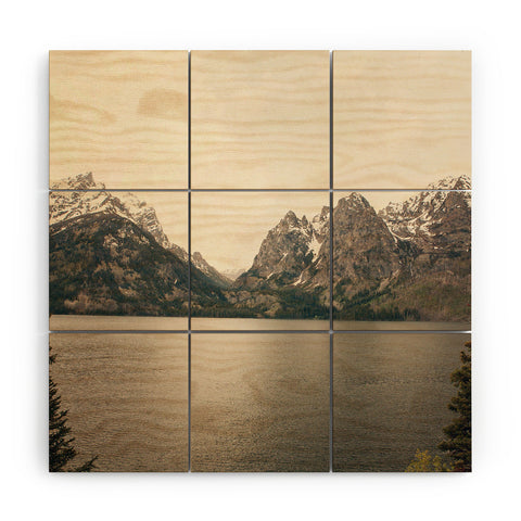 Catherine McDonald Cool Summer Snow Wood Wall Mural