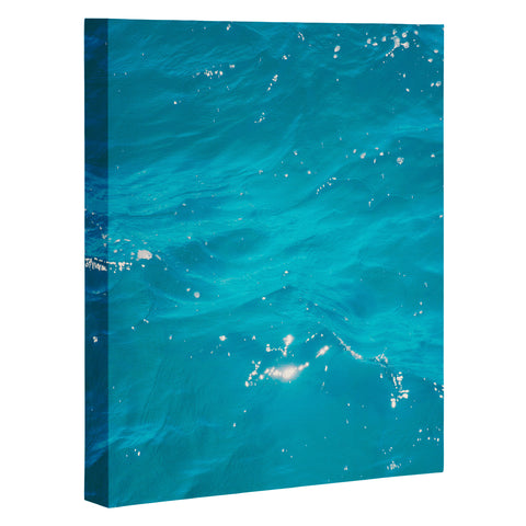 Catherine McDonald Coral Sea Art Canvas