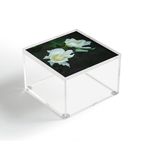 Catherine McDonald Cotton Blossom Acrylic Box