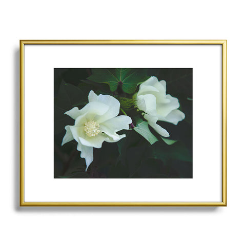 Catherine McDonald Cotton Blossom Metal Framed Art Print