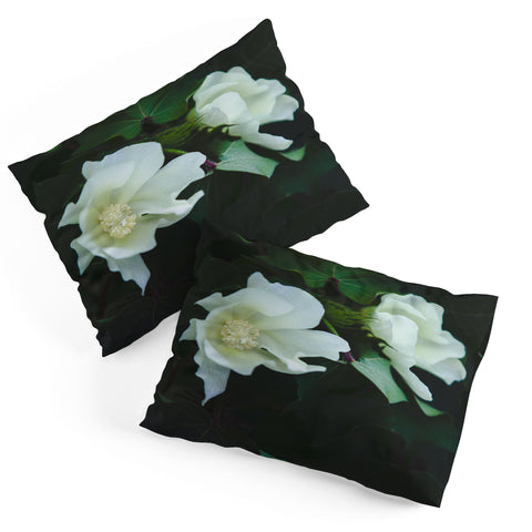 Catherine McDonald Cotton Blossom Pillow Shams