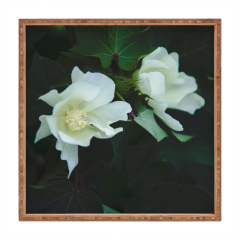 Catherine McDonald Cotton Blossom Square Tray