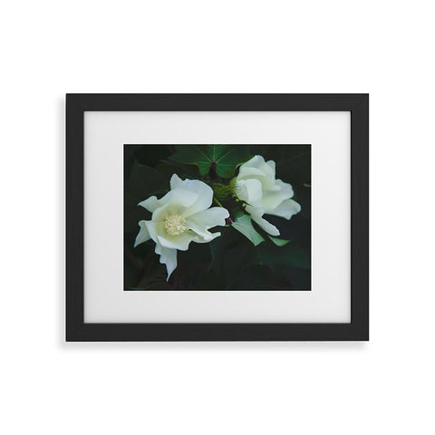 Catherine McDonald Cotton Blossom Framed Art Print