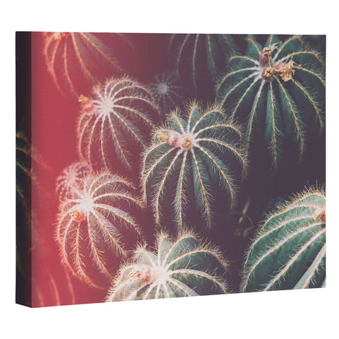 Catherine McDonald DESERT AURA Art Canvas