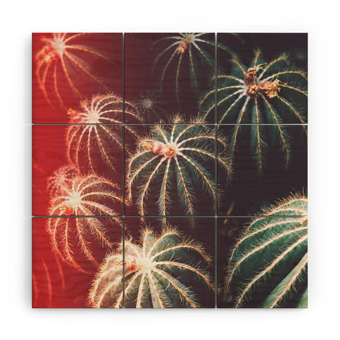 Catherine McDonald DESERT AURA Wood Wall Mural