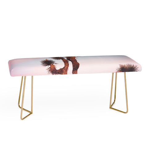 Catherine McDonald Desert Skies Bench