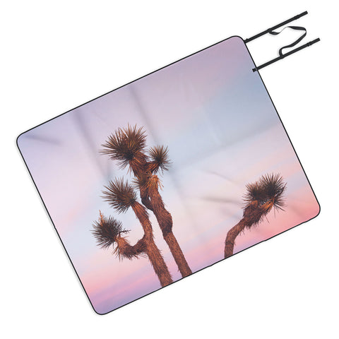 Catherine McDonald Desert Skies Picnic Blanket