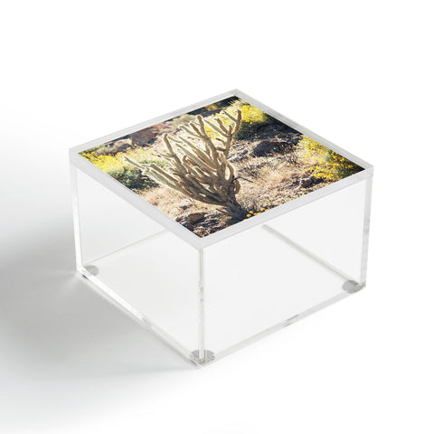 Catherine McDonald Desert Superbloom Acrylic Box