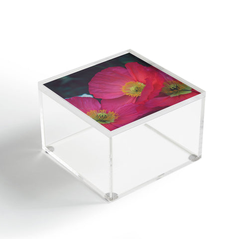 Catherine McDonald Electric Poppies Acrylic Box