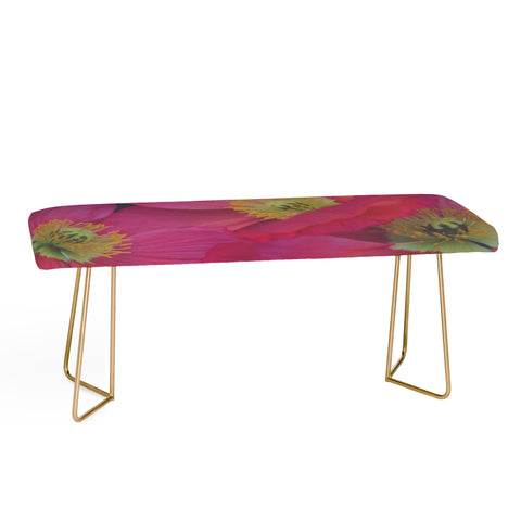 Catherine McDonald Electric Poppies Bench