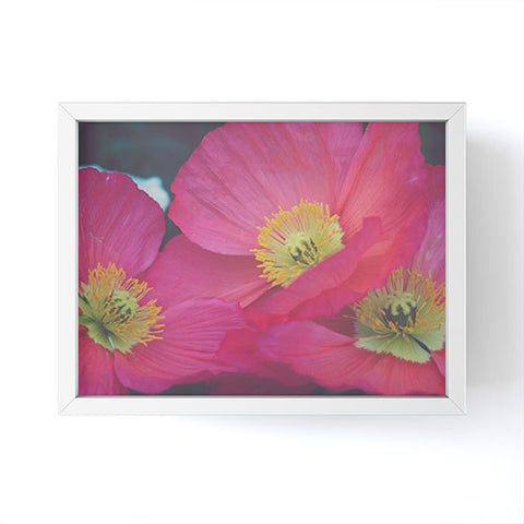 Catherine McDonald Electric Poppies Framed Mini Art Print