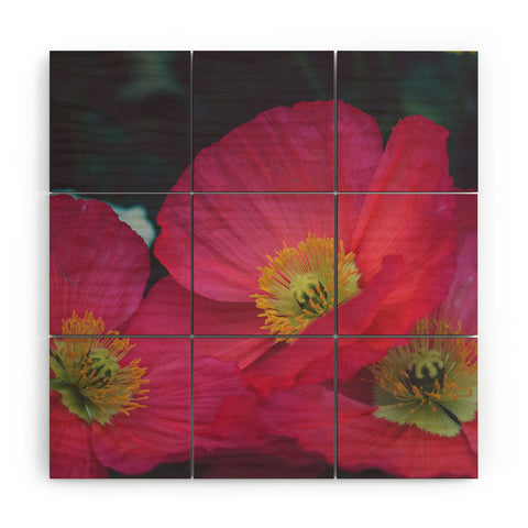 Catherine McDonald Electric Poppies Wood Wall Mural