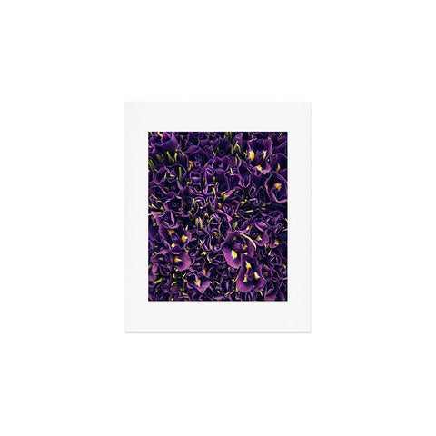 Catherine McDonald Flower Market 1 Art Print