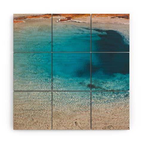 Catherine McDonald Geothermal II Wood Wall Mural