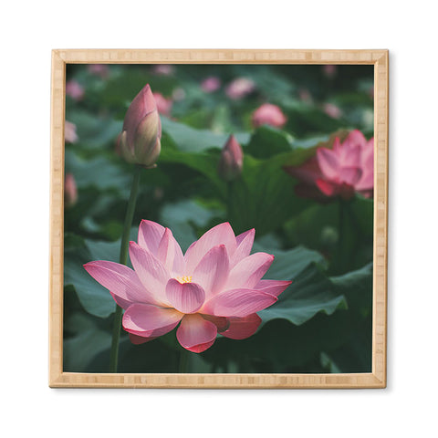 Catherine McDonald Lotus Field Framed Wall Art