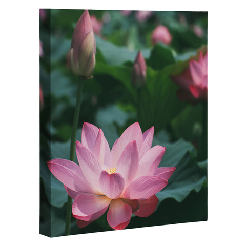 Catherine McDonald Lotus Field Art Canvas