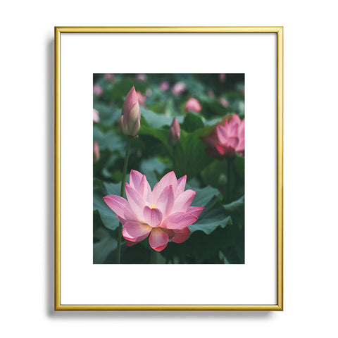 Catherine McDonald Lotus Field Metal Framed Art Print