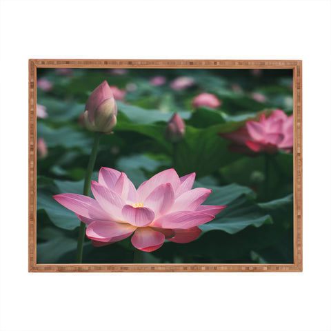 Catherine McDonald Lotus Field Rectangular Tray