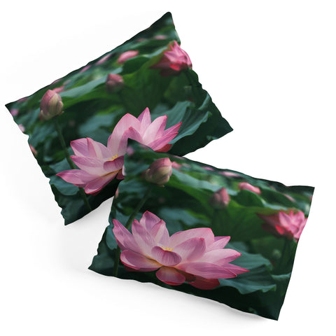 Catherine McDonald Lotus Field Pillow Shams