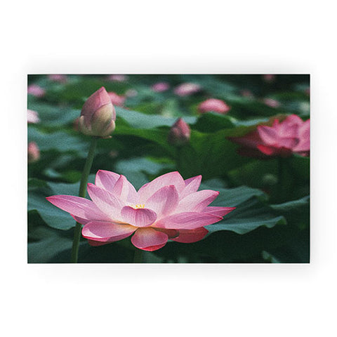 Catherine McDonald Lotus Field Welcome Mat