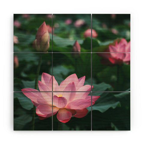 Catherine McDonald Lotus Field Wood Wall Mural