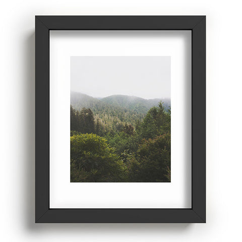 Catherine McDonald Northern California Redwood Forest Recessed Framing Rectangle