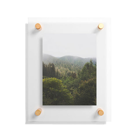 Catherine McDonald Northern California Redwood Forest Floating Acrylic Print