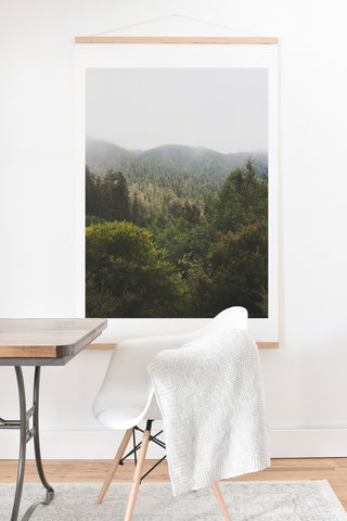 Catherine McDonald Northern California Redwood Forest Art Print And Hanger