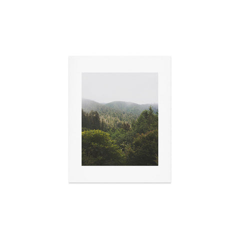 Catherine McDonald Northern California Redwood Forest Art Print