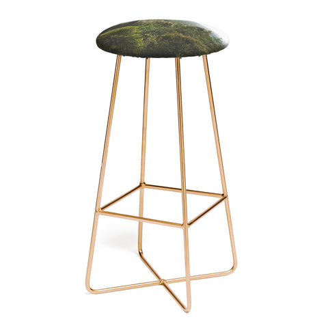 Catherine McDonald Northern California Redwood Forest Bar Stool