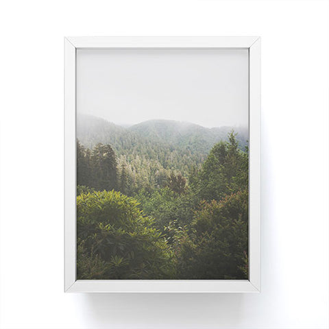 Catherine McDonald Northern California Redwood Forest Framed Mini Art Print