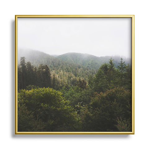 Catherine McDonald Northern California Redwood Forest Metal Square Framed Art Print