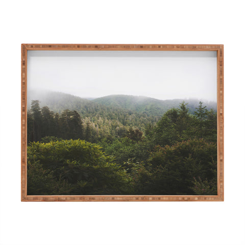 Catherine McDonald Northern California Redwood Forest Rectangular Tray