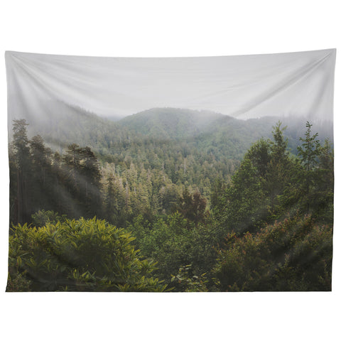 Catherine McDonald Northern California Redwood Forest Tapestry
