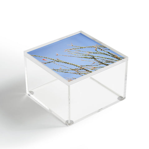 Catherine McDonald Ocotillo Blooms Acrylic Box
