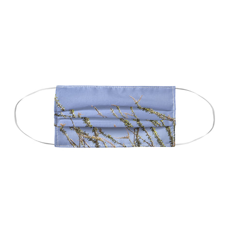 Catherine McDonald Ocotillo Blooms Face Mask